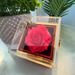 LOVE KNOT NECKLACE WITH ROTATING ROSE GIFT BOX AND MESSAGE CARD